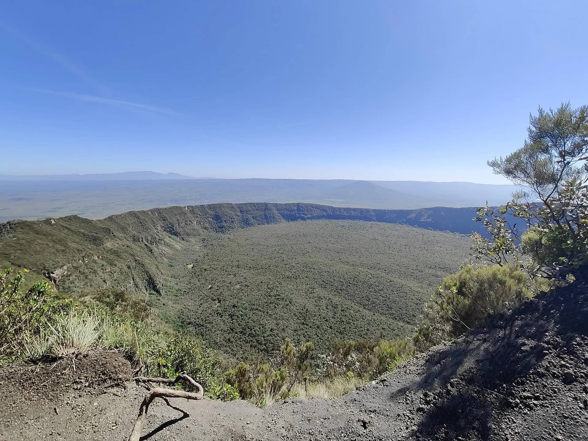 The forested crater floor of Mount Longonot seen from the rim