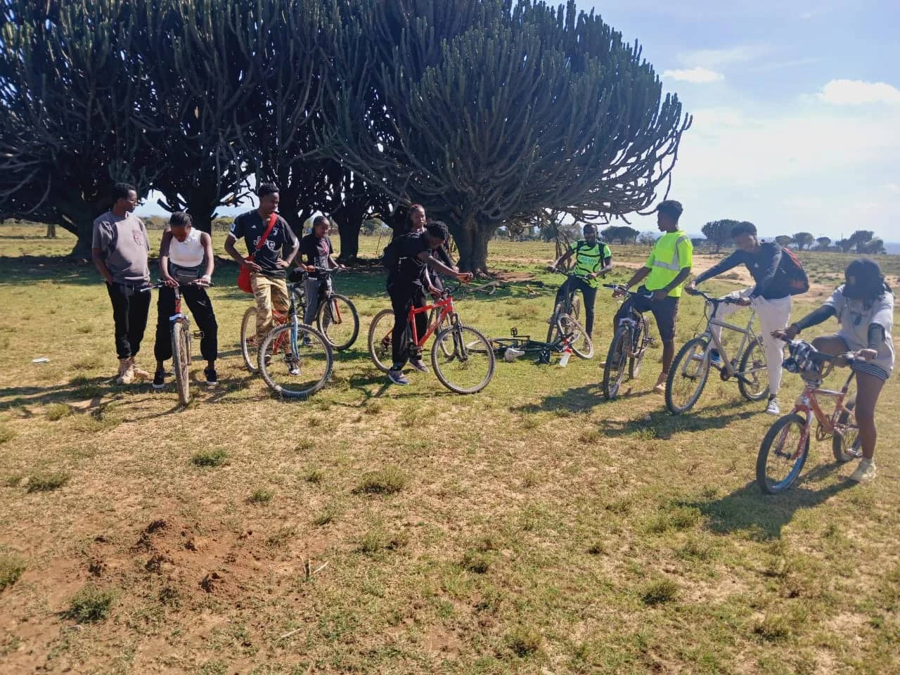 A HikeQuest cycling group with their bikes under candelabra euphorbia trees on the Narok plains