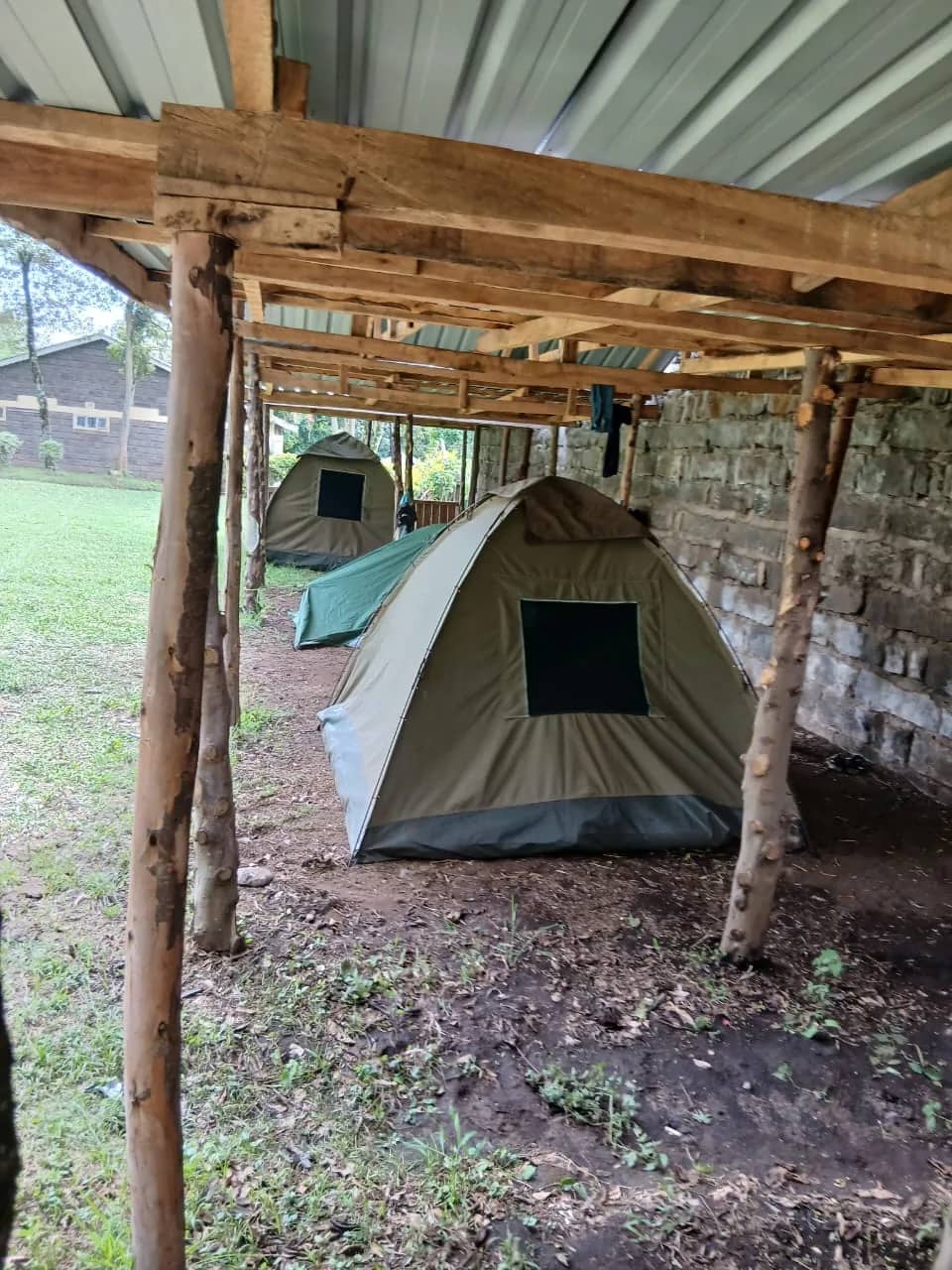 Safari tents pitched in a row under a timber and iron-sheet shelter