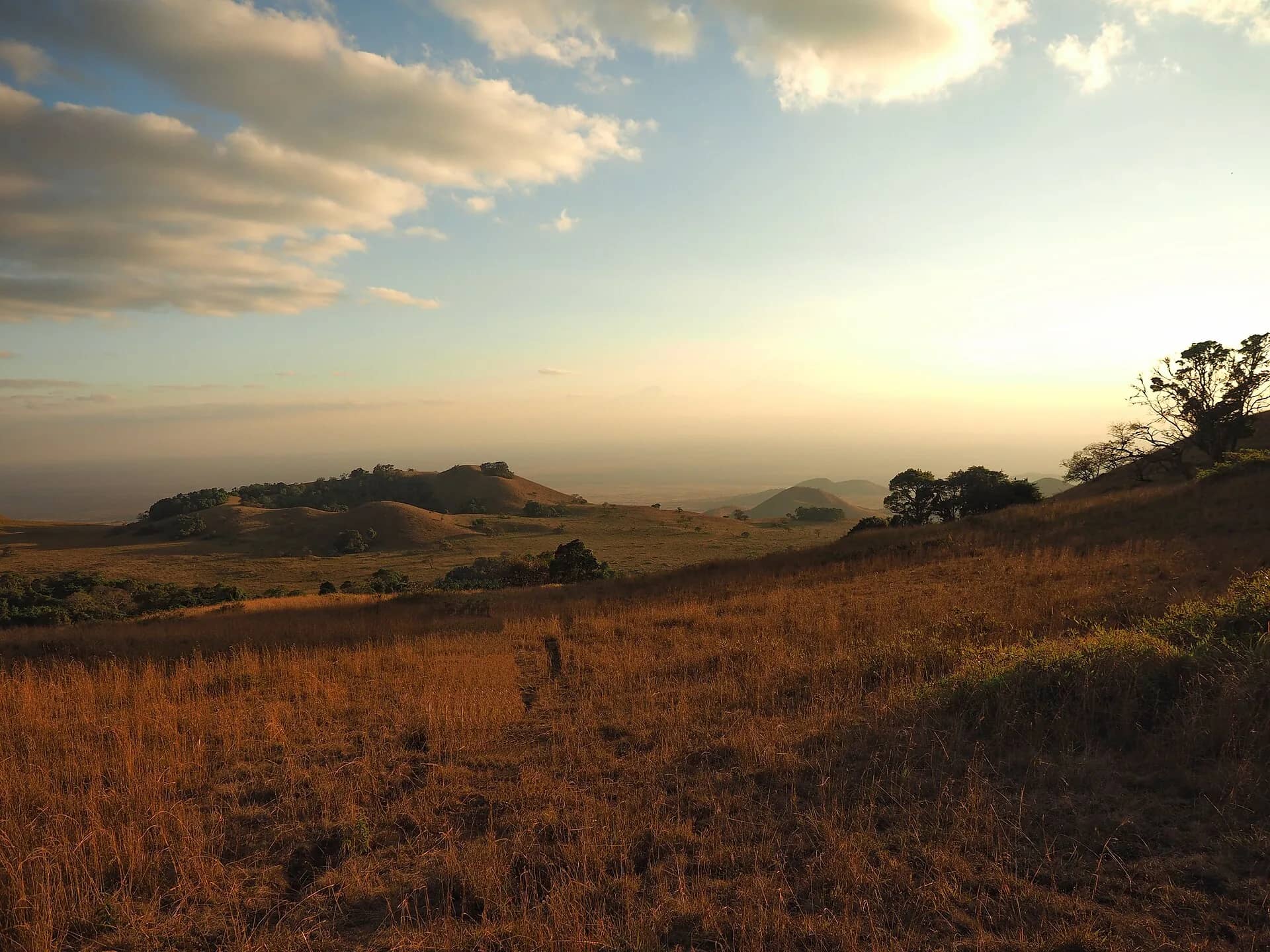 A group walking down a grassy ridge in the Chyulu Hills