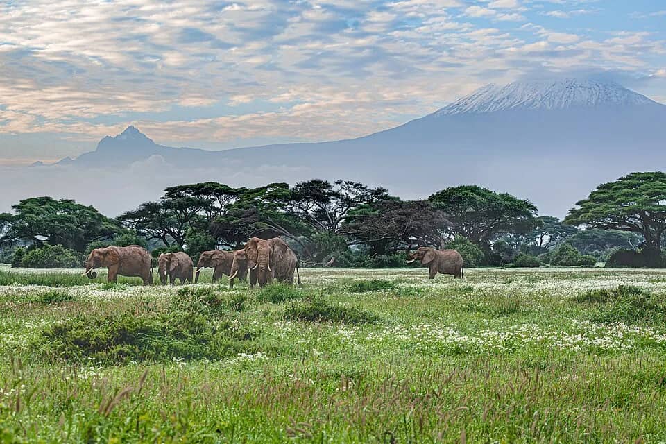 Amboseli National Park with Mount Kilimanjaro behind it