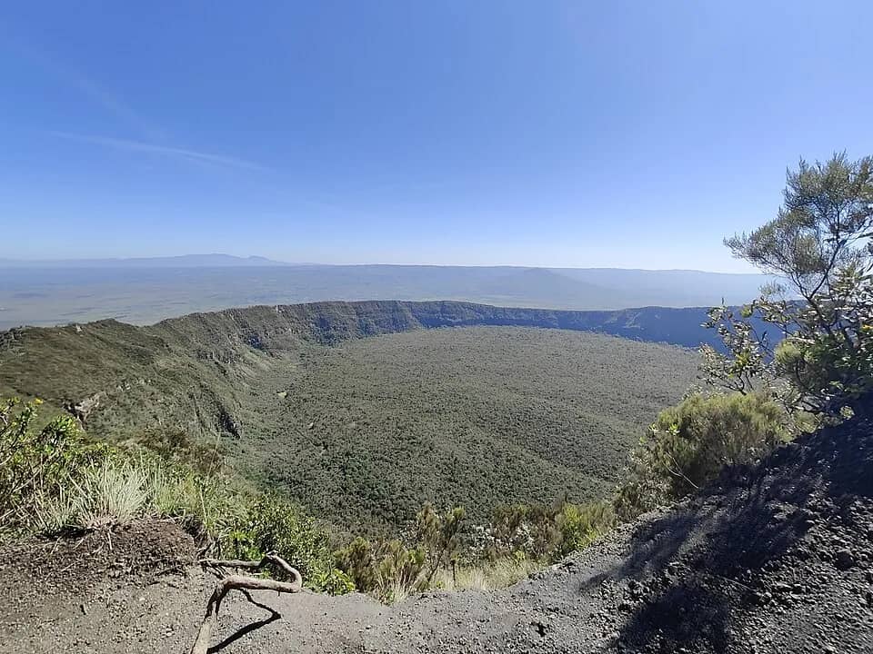 The forested crater floor of Mount Longonot seen from the rim