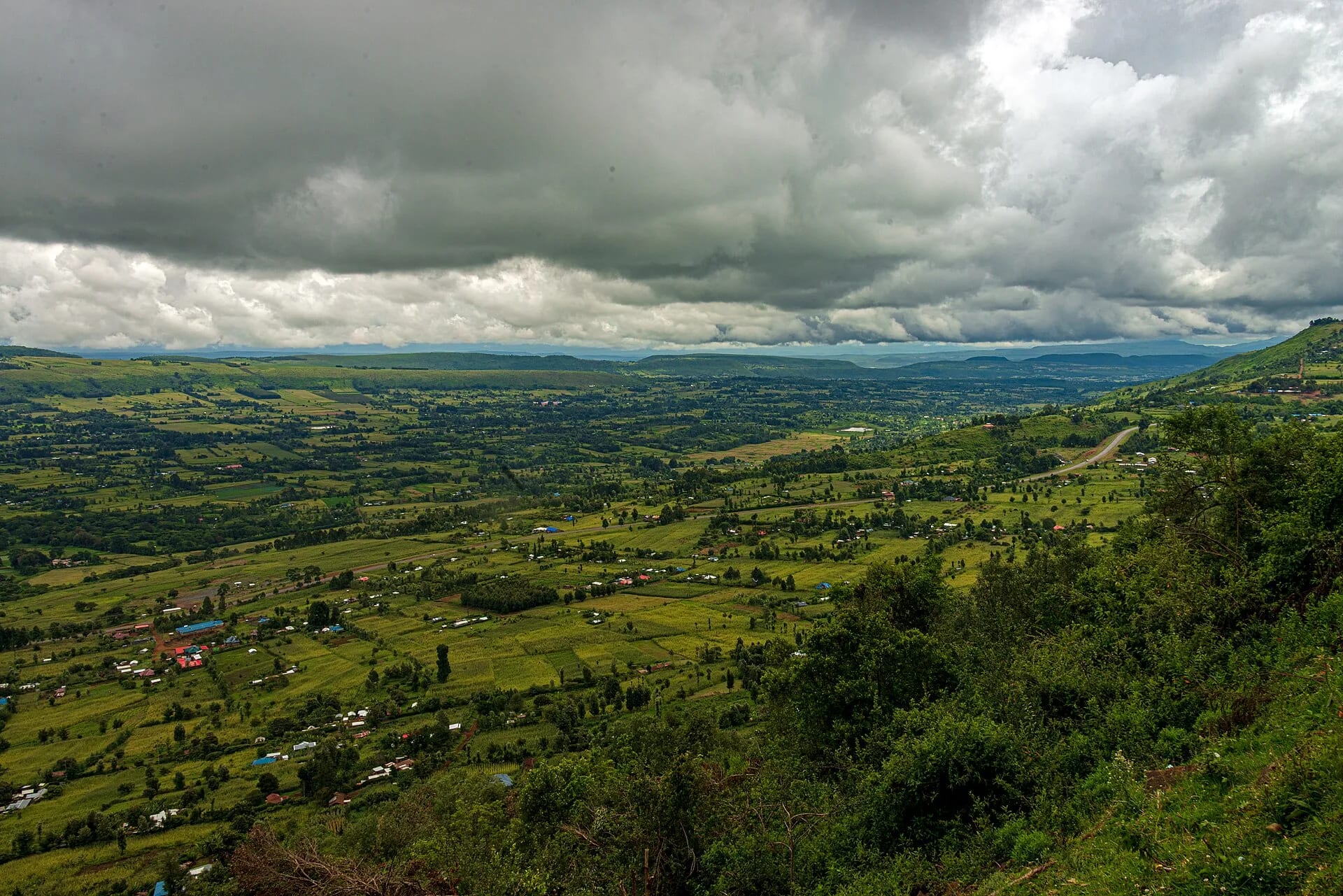 The Great Rift Valley seen from the Subukia lookout, green farmland running to the escarpment